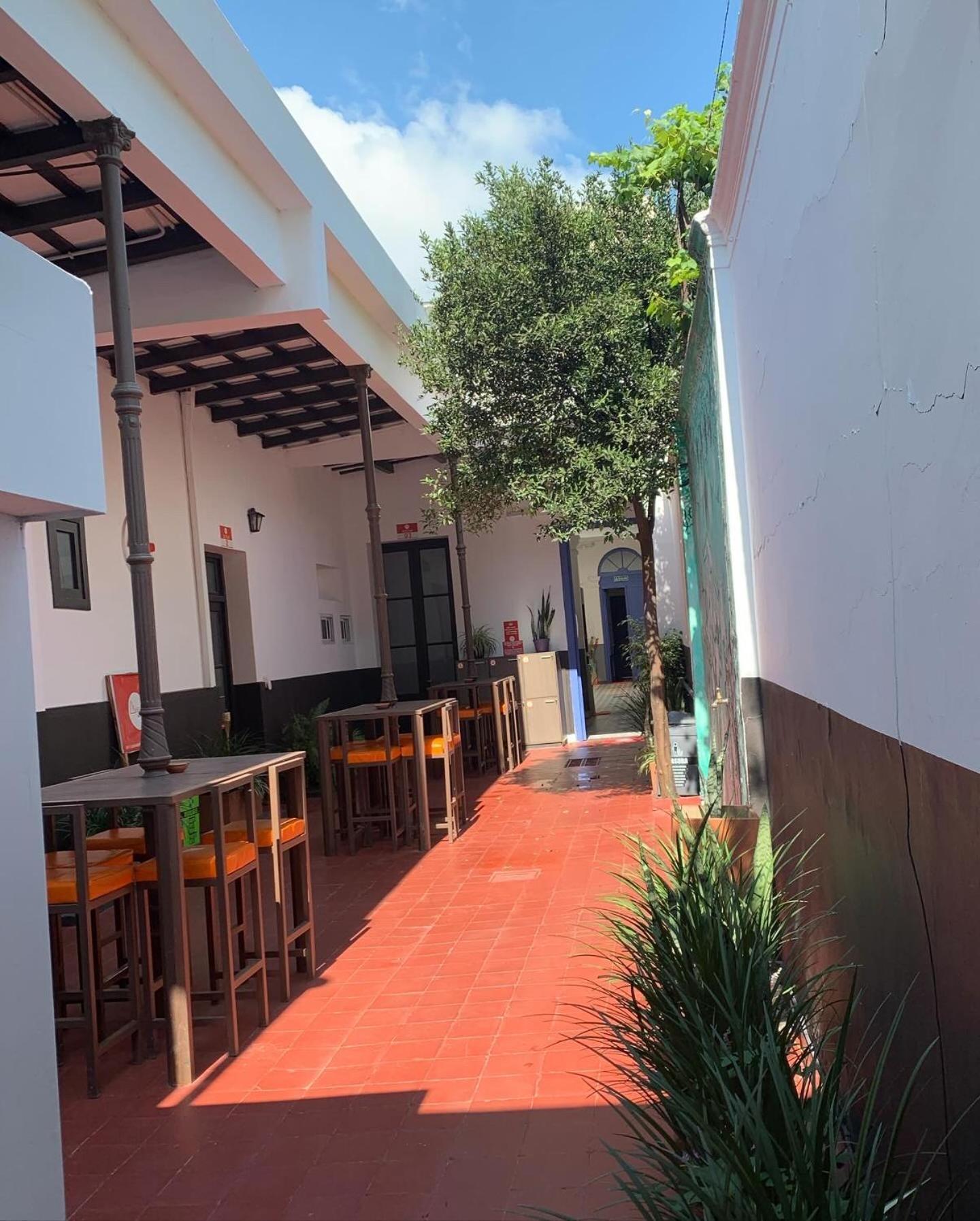 סלטה Andino Bnb מראה חיצוני תמונה